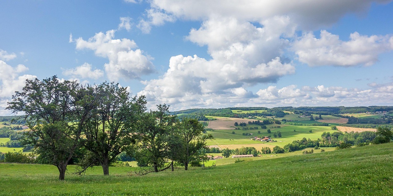Conférence de l'Institut Européen des Jardins et Paysages