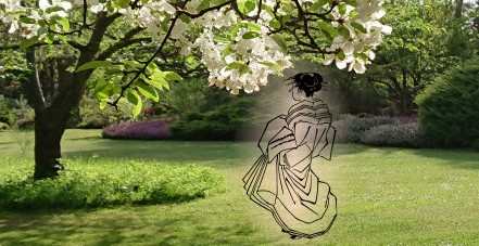 Hanami à l'Arboretum