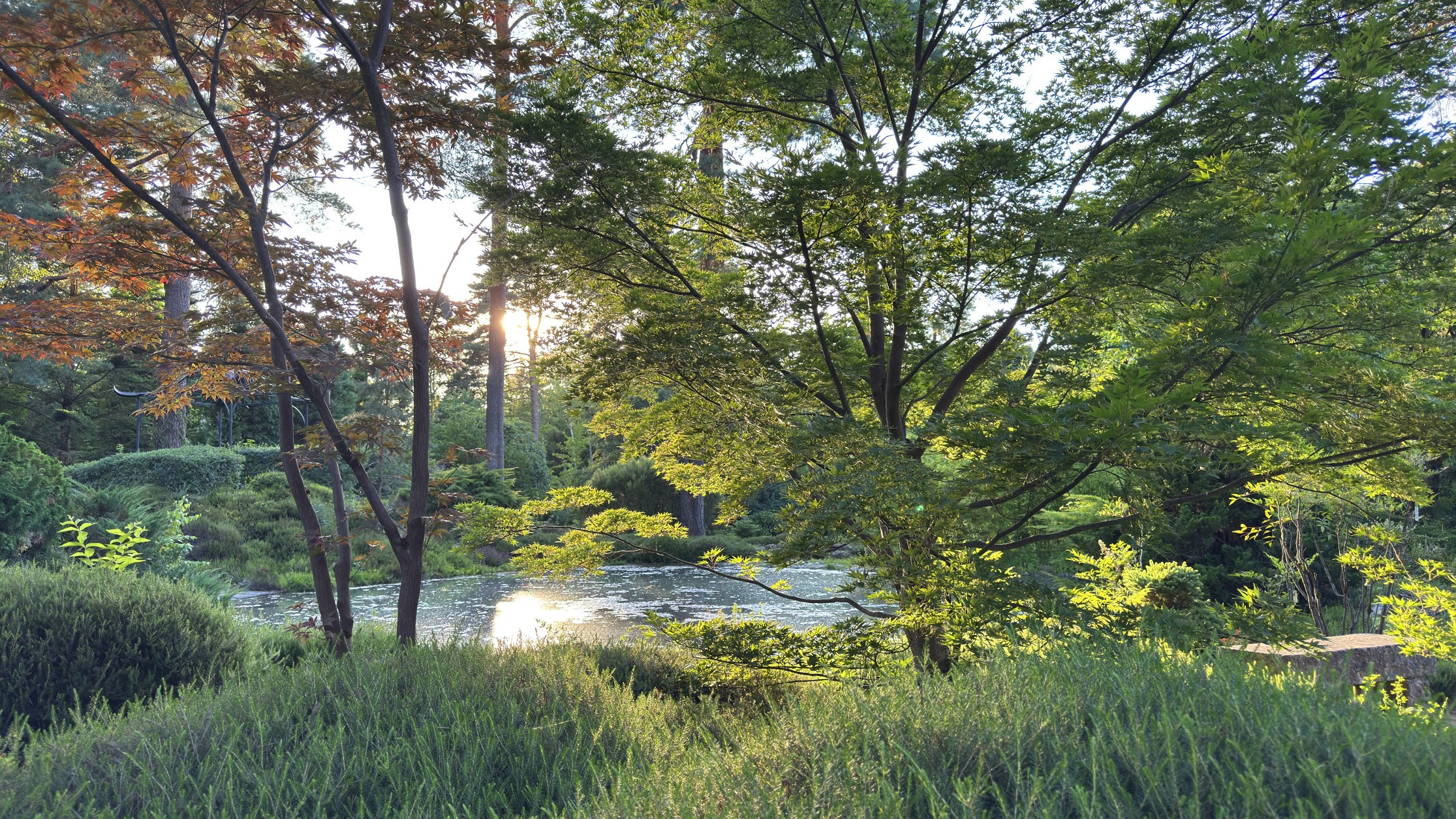 Belles soirées d'été