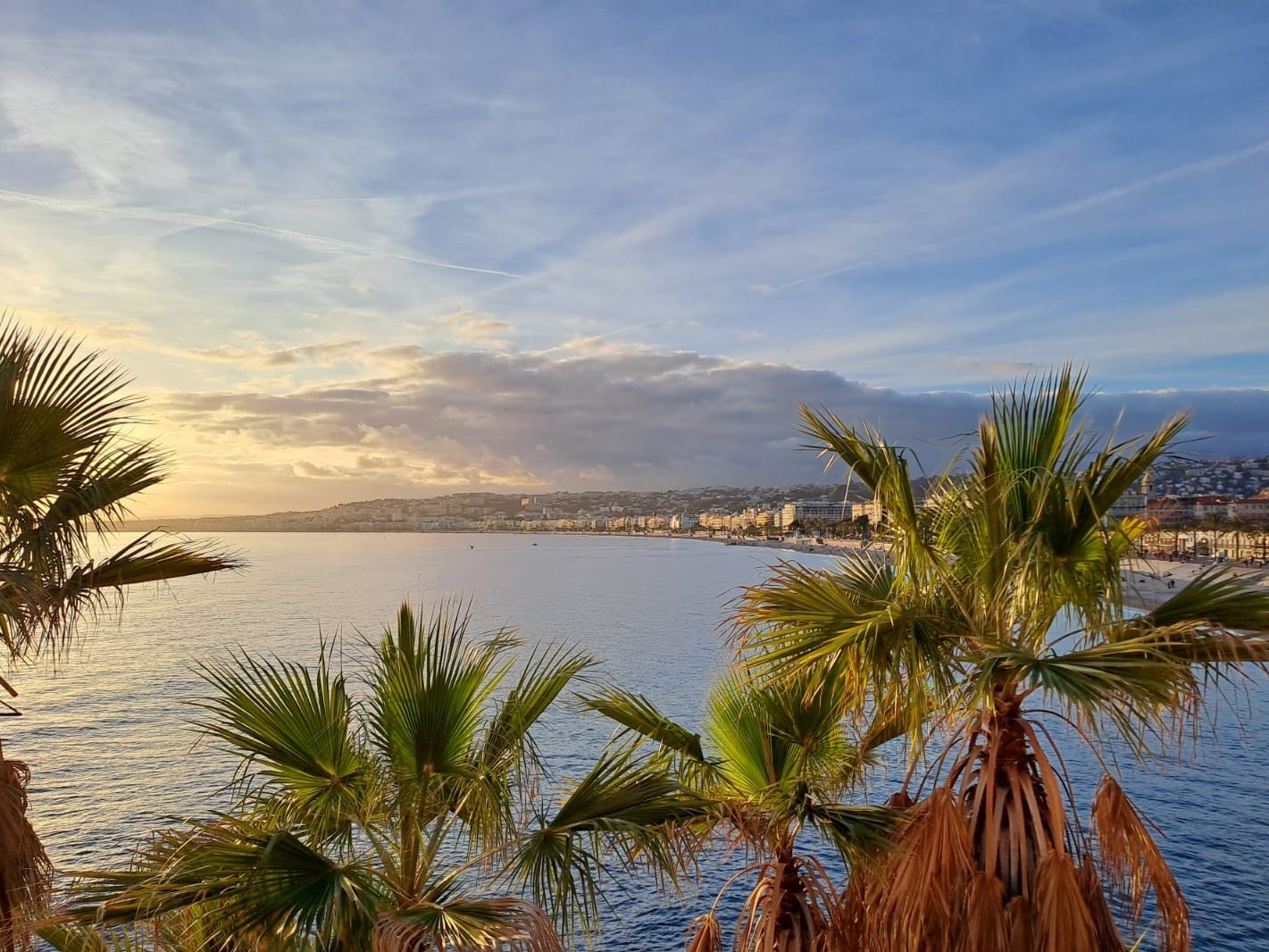 Conférences de l'Institut Européen des Jardins 