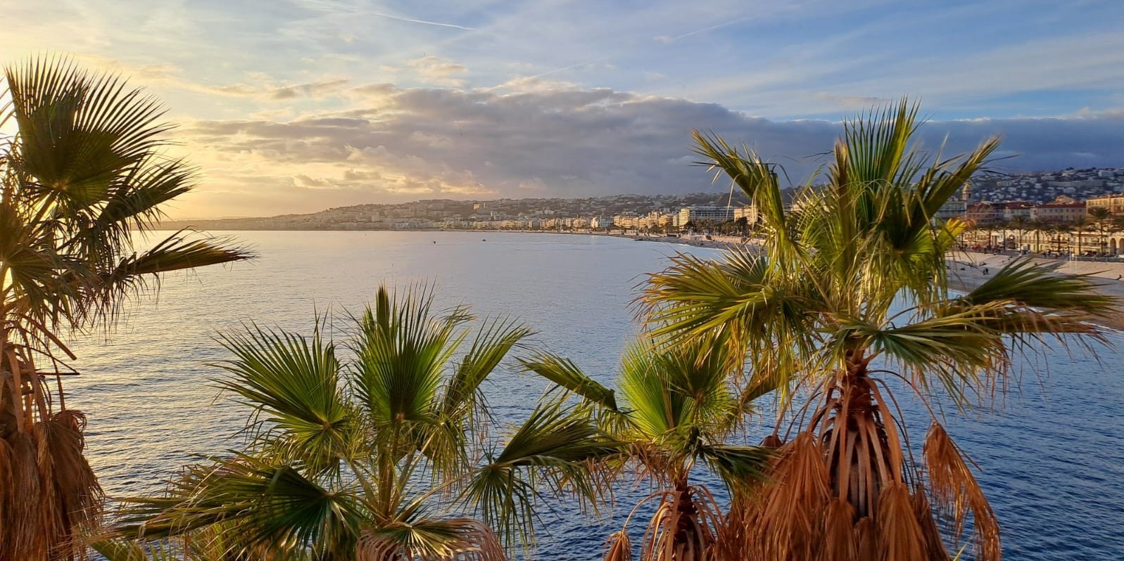 Conférences de l'Institut Européen des Jardins 