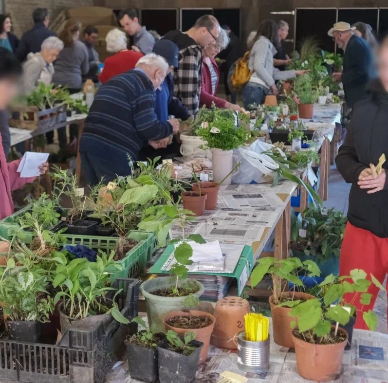 Troc Plantes gratuit à Niort (Chey) – Dim. 12 avril 2026