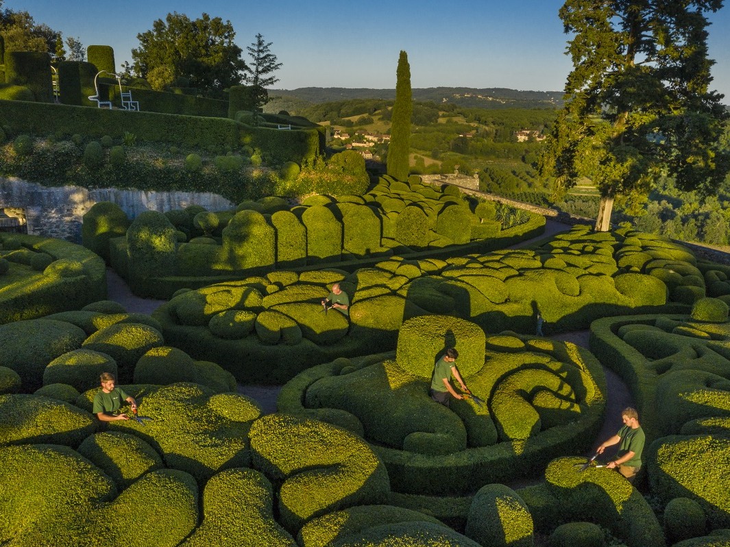 L'art topiaire aux Jardins de Marqueyssac