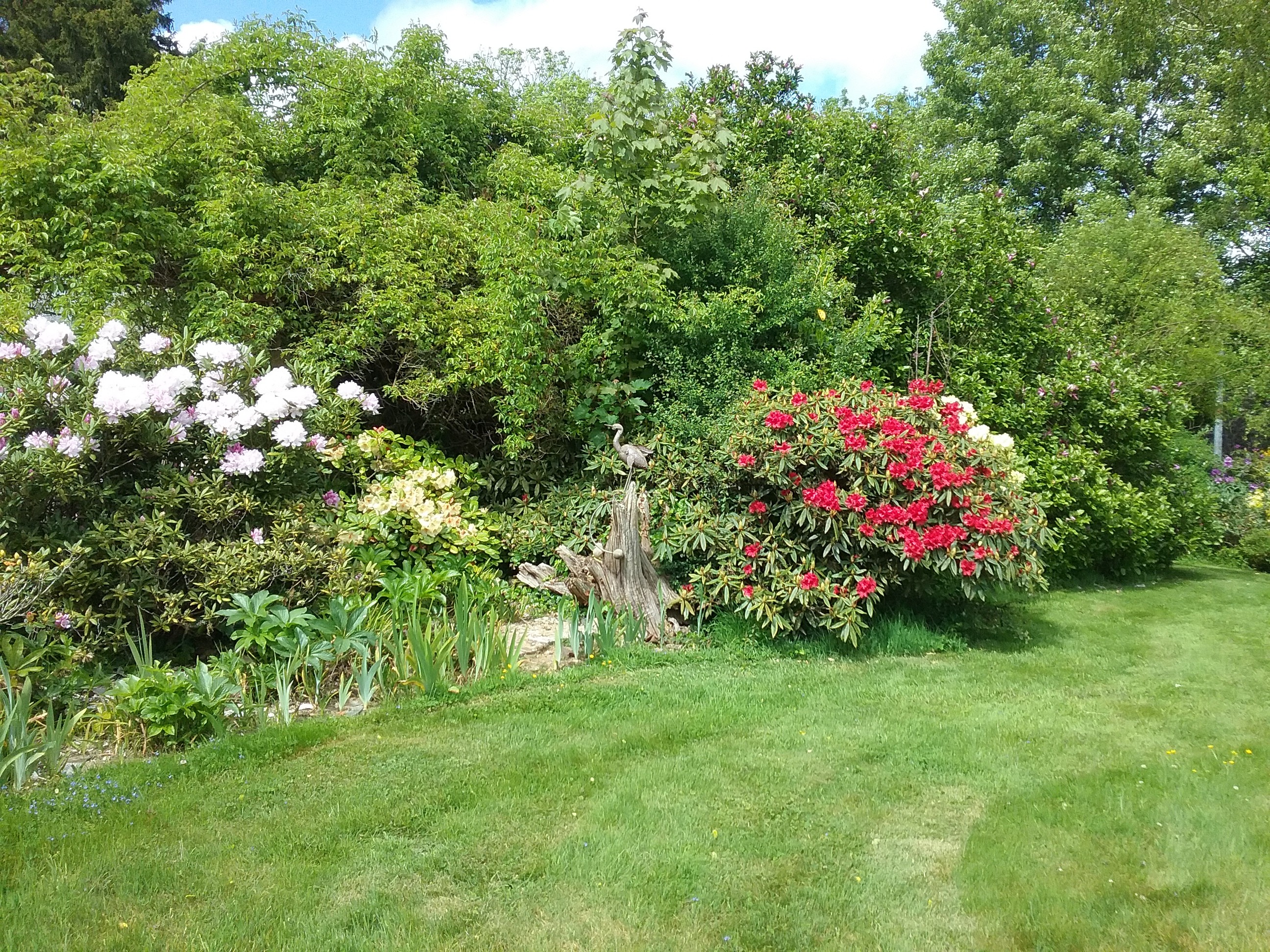 Rendez vous au jardin Arc En Ciel organisés par le ministère dé la culture et l'association des parcs et jardins dé Bretagne