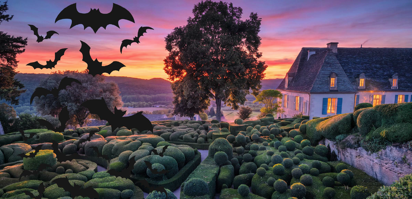 Les vacances de la Toussaint, journée aux chauve-souris