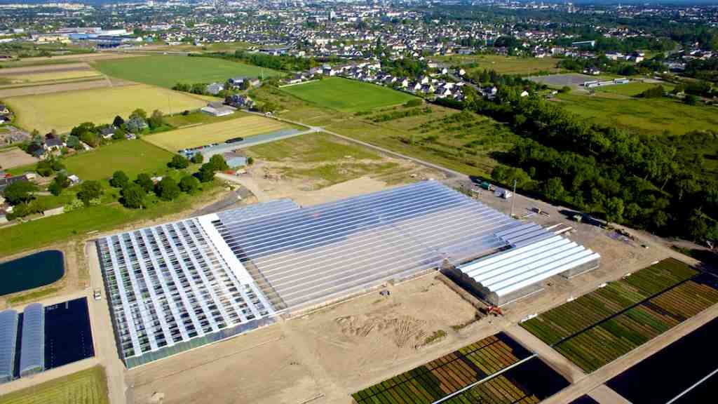 Portes ouvertes aux pépinières Lepage sur le nouveau site.