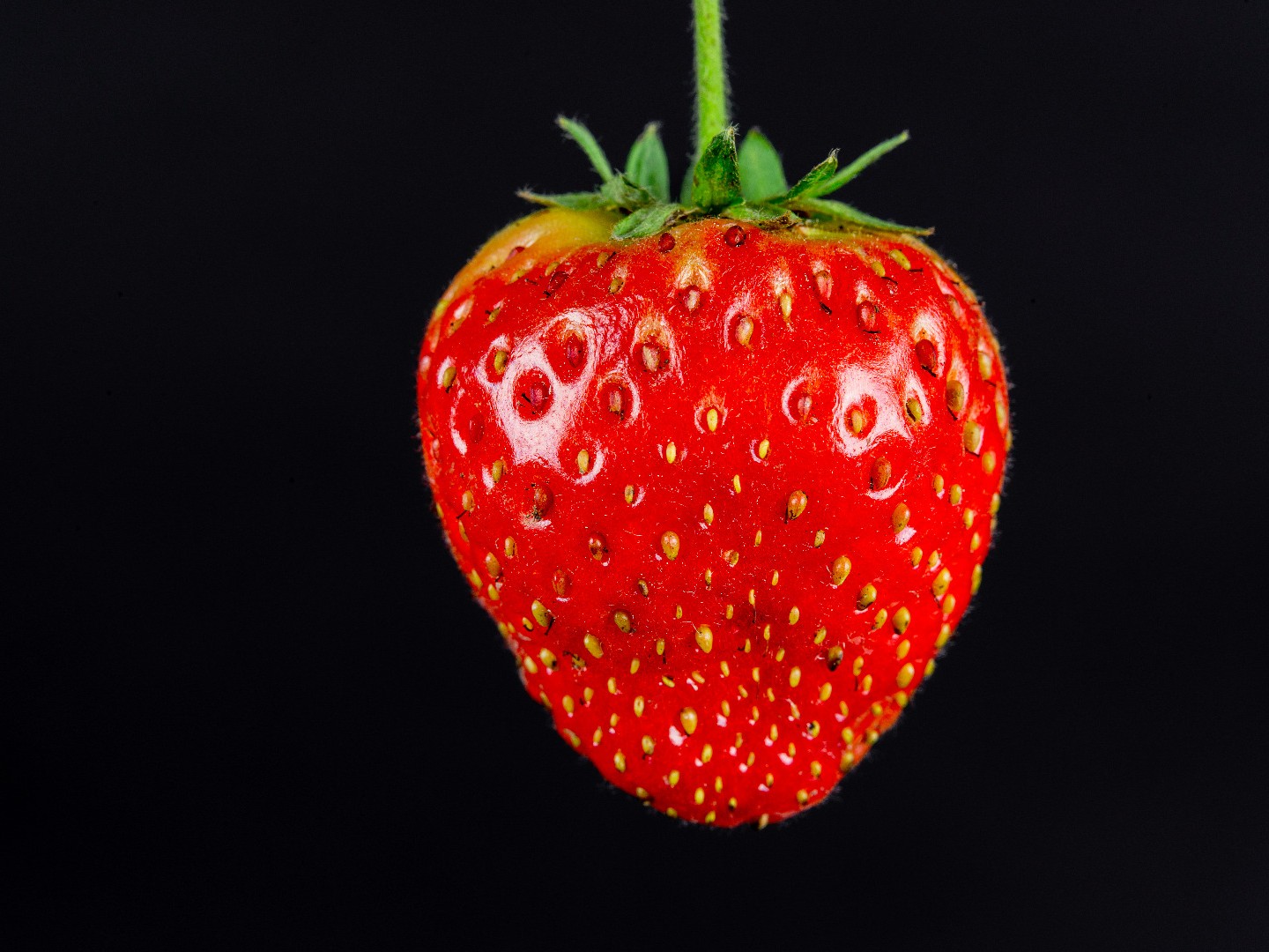 Cours de photographie en studio sur les fruits