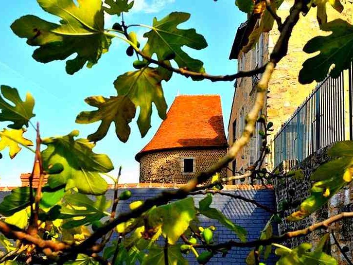 9eme édition Entre cours et Jardins Au Mans