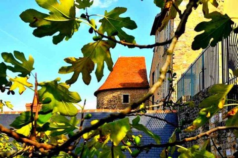 9eme édition Entre cours et Jardins Au Mans