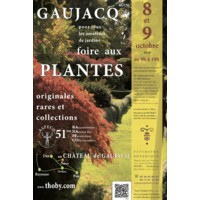 plantes originales rares et de collections