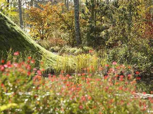 Jardins   en   Art,   la   première   galerie-librairie   parisienne   dédiée   à   l'art    et   au   jardin