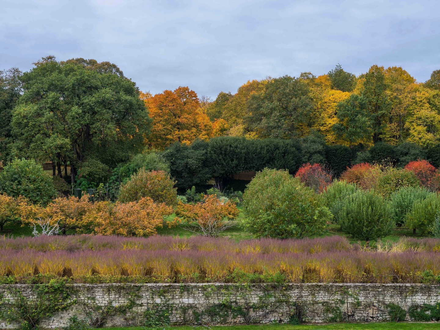 Fête des plantes d'automne au Château du Rivau