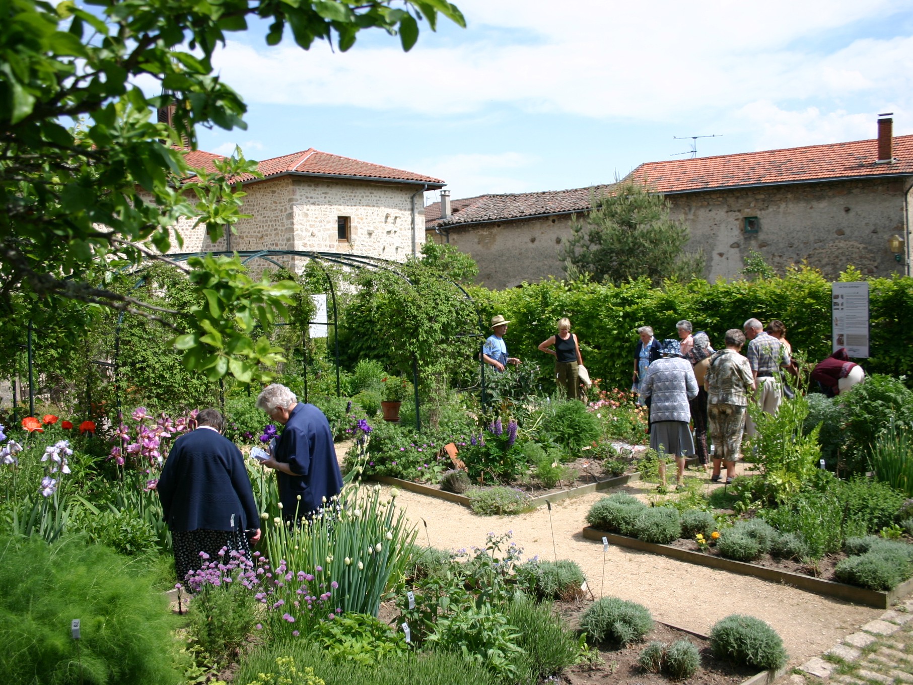 Atelier taille de rosier