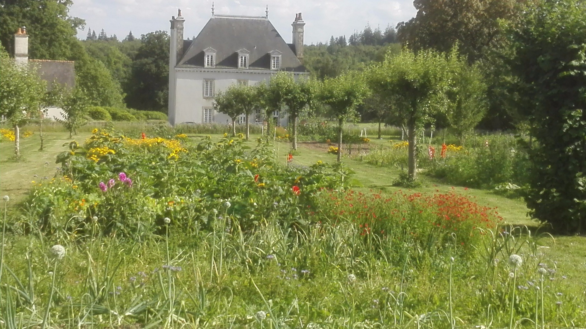 Premier Marché aux plantes AR DUEN 12 et 13 Aout 2017