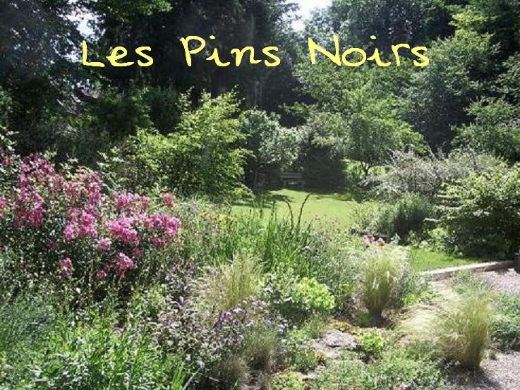 RENDEZ-VOUS AUX JARDINS 2017 - Les Pins Noirs