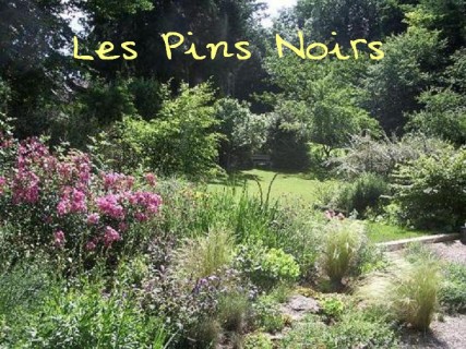 RENDEZ-VOUS AUX JARDINS 2017 - Les Pins Noirs