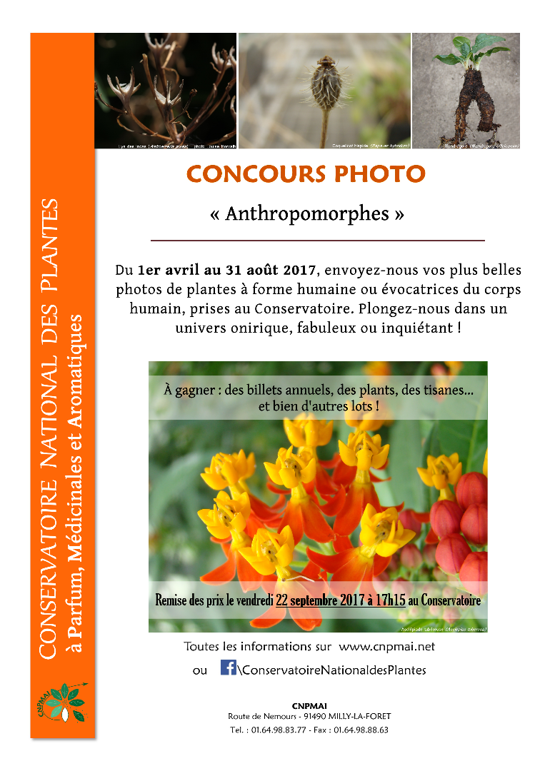 Concours Photo à Milly-la-Forêt (91)