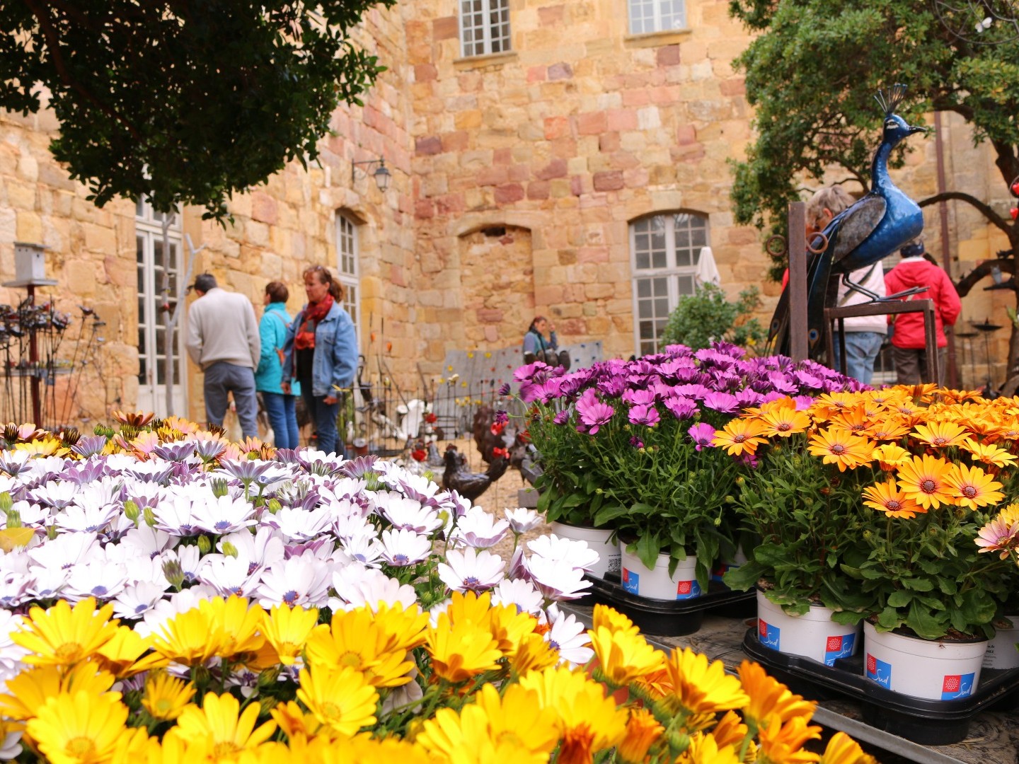 Fête des plantes et du Massif