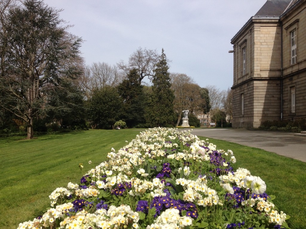 Foire aux Plantes