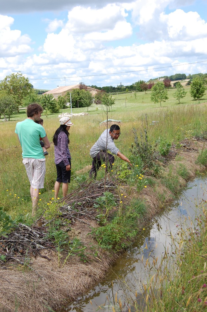 visite guidée techniques de jardinage en permaculture