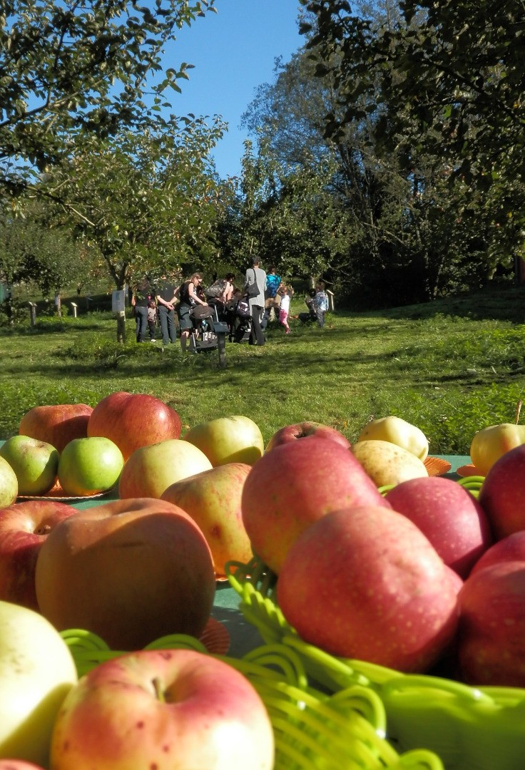 4e Fête de la Pomme