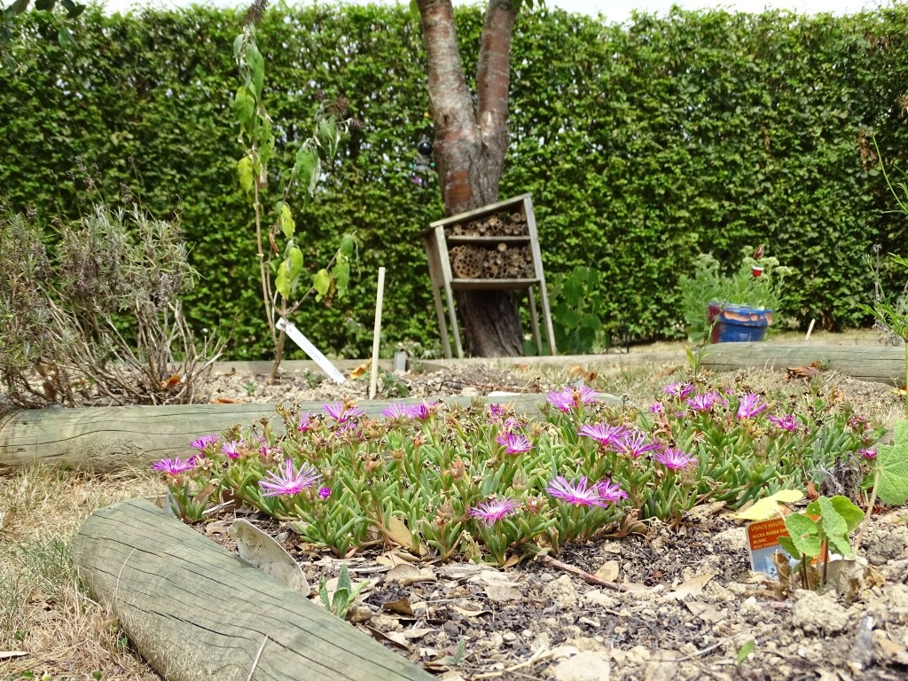 Un jardin favorable à la biodiversité