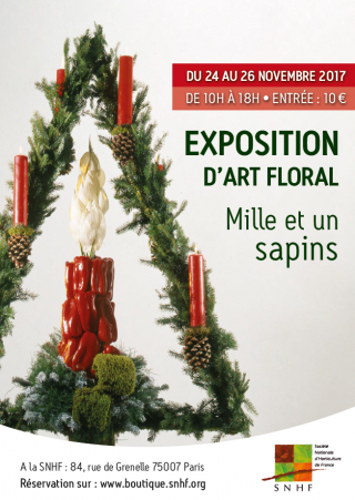 Exposition d’art floral : mille et un sapins