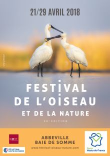 28 ème  Festival de l'Oiseau et de la Nature en Baie de Somme