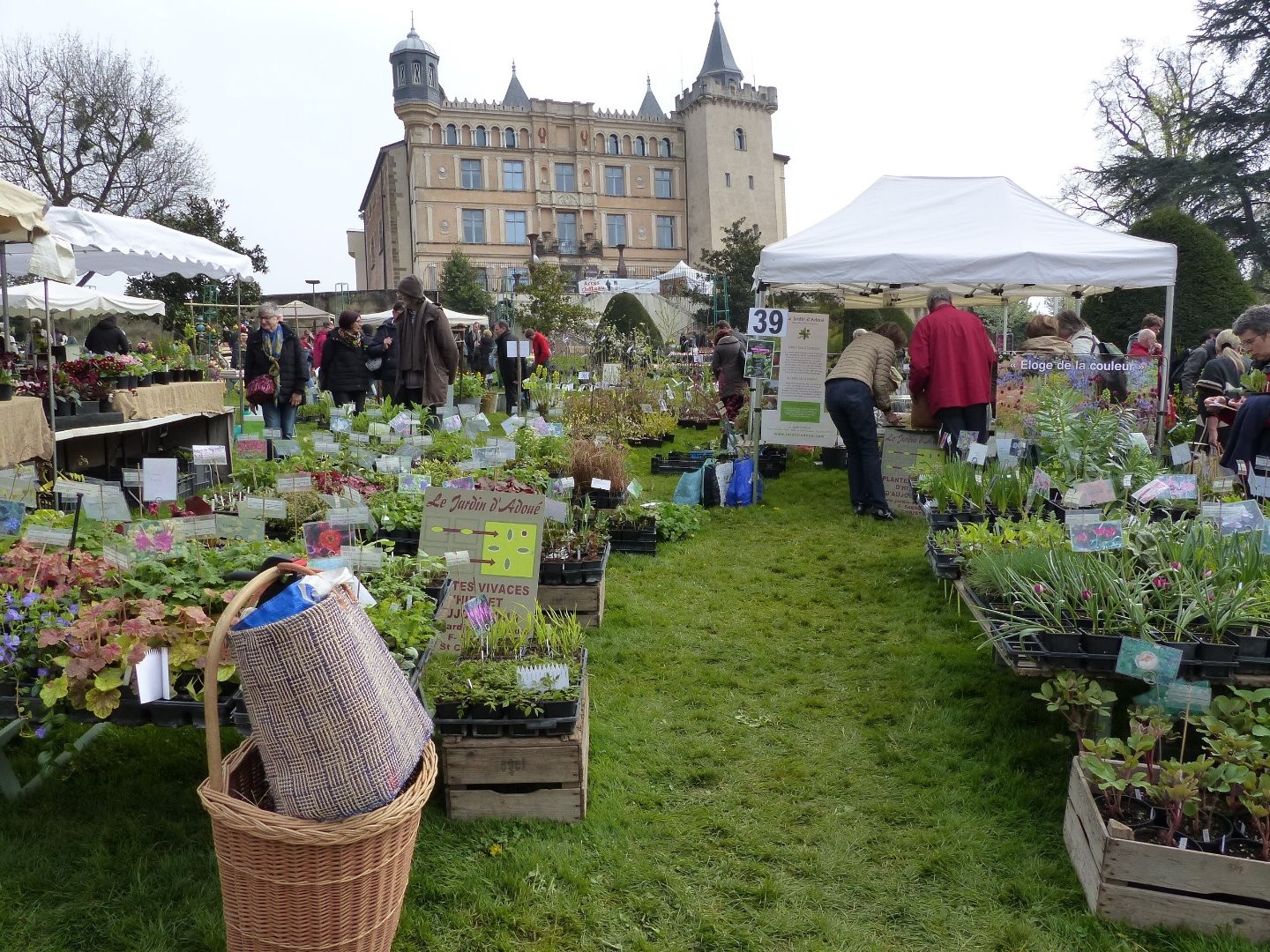 FOIRE AUX PLANTES RARES de SAINT-PRIEST 2018