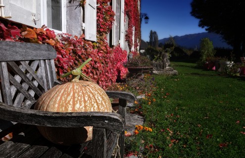 Ateliers au jardin "potager" du château des Allues