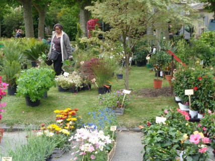 FOIRE AUX PLANTES