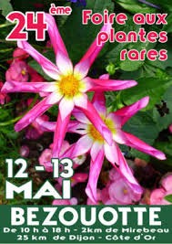 FOIRE AUX PLANTES RARES