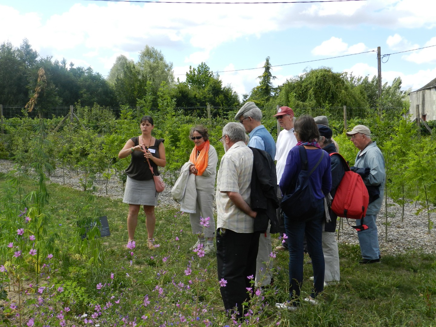 DECOUVRONS LES JARDINS